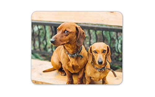 Mauspads mit Hunde-Motiv